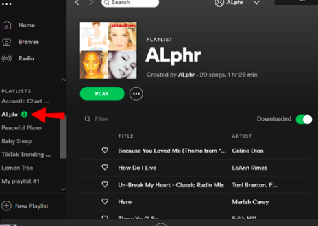 Remove Downloaded Songs On Spotify On Your PC